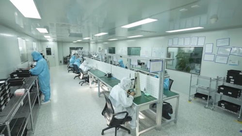 科技強國 創新在吉林發力，重點產業科技創新助推創新型省份建設