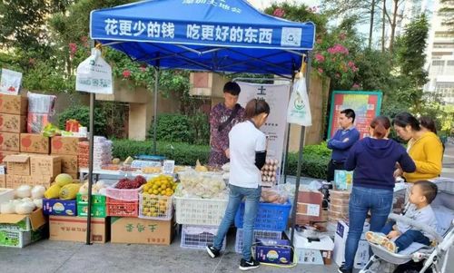 社區團購轉向理性競爭，日用百貨銷售迎高質量發展新機遇