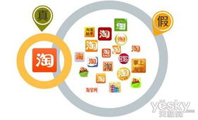山寨App需防范，信息名址提供安全指引強化網絡與信息安全軟件開發