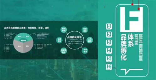 光合項目 從洋河創意設計中心看文化創意產業園的品牌化之路